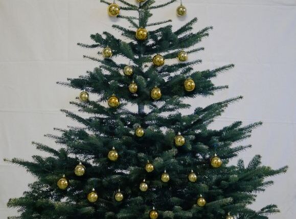 Weihnachtsbaum Übergangsklasse 2016