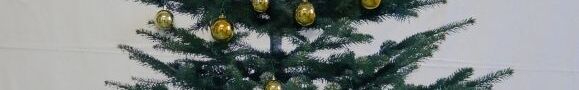 Weihnachtsbaum Übergangsklasse 2016